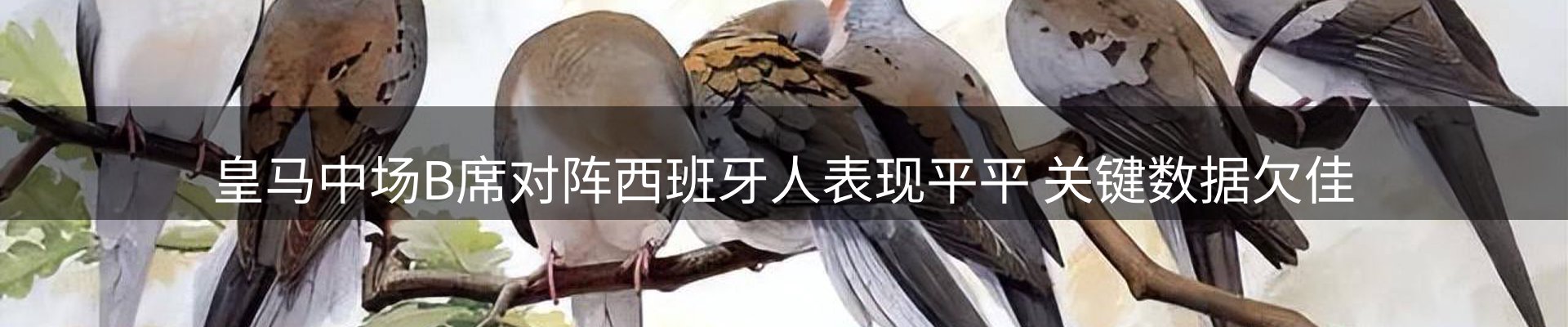 焦点通报