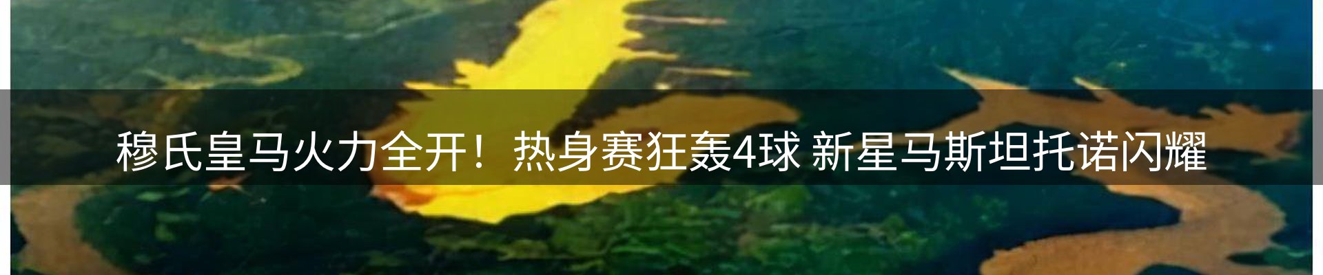 资讯动态